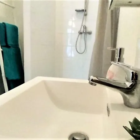 / Jungle Apartment