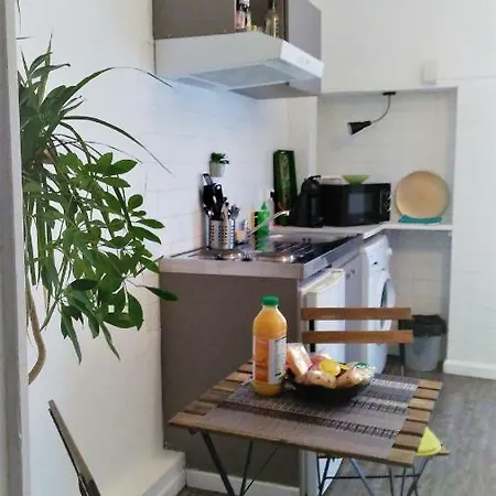 / Jungle * Sète