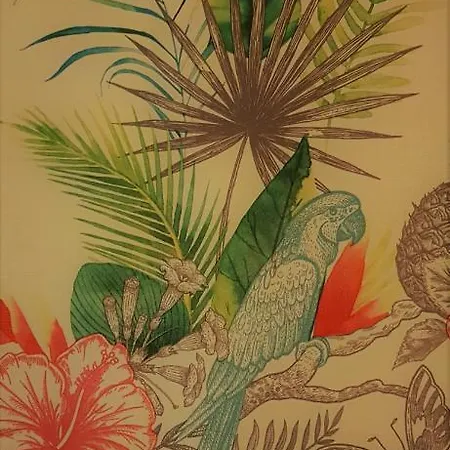 Apartment / Jungle Sete